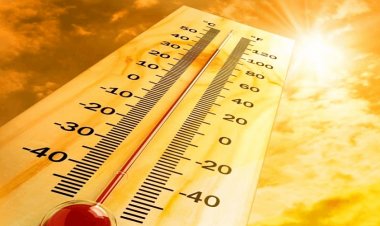 Штормовое предупреждение из-за жары объявили в Павлодарской области