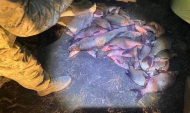 Девять протоколов составила полиция на рыбаков в Железинском районе