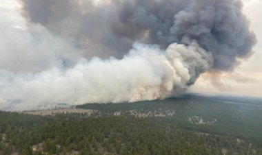 Павлодардың солтүстігінде өрт қаупі бар