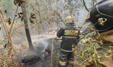 В Минтруда расследуют гибель людей при пожаре в Абайской области