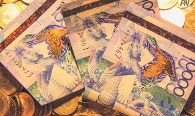 «Самрук-Қазына» выделила 200 млн тенге пострадавшим от пожаров в области Абай