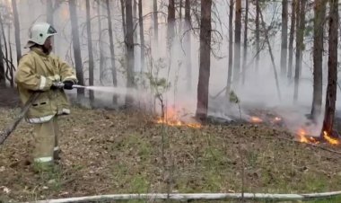 Площадь пожара в области Абай существенно сократилась