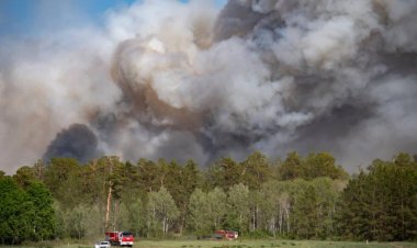 ШҚО-да 100-ден астам адам қатты жел салдарынан дала өртін ауыздықтай алмай жатыр