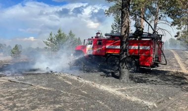 Абай облысындағы орман өрті оқшауланды