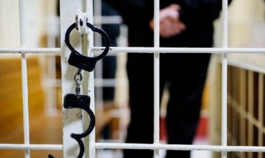 Павлодарда енесін зорлаған азғын сотталды