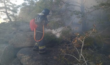 Склон горы загорелся в Баянаульском районе