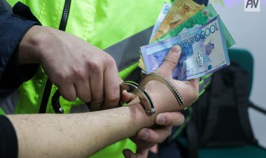 Зейнеткерден 7 млн алған: Павлодарда жас дроперлерді ұстады