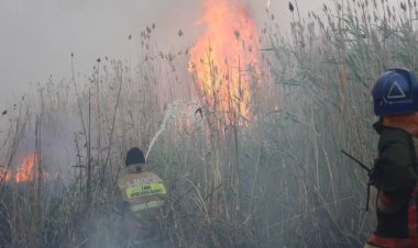 Пожар близ Астаны локализовали