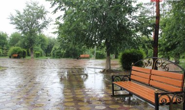 Павлодар әкімі саябақты 10 күн ішінде ретке келтіруді тапсырды