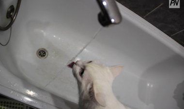 22 маусымда Павлодарда кейбір тұрғын үйлерде су болмайды