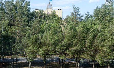 Павлодар облысының басым бөлігінде қатты жел болады