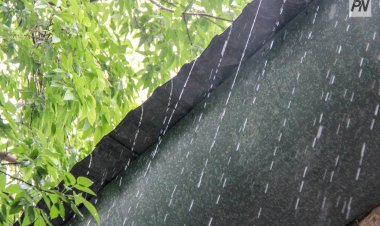 Сенбі күні Павлодар облысында жаңбыр жауады