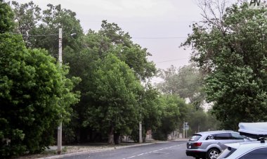 Сильный ветер прогнозируют 28 июня павлодарские синоптики