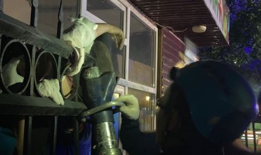 Екібастұзда жасөспірімнің білегін арматура тесіп өтті