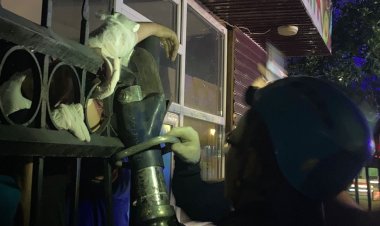 Ночная вылазка через забор закончилась травмой для подростка в Экибастузе