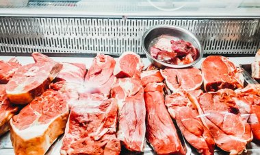 1 шілде күні Павлодар облысында ауыл шаруашылығы жәрмеңкесі өтеді