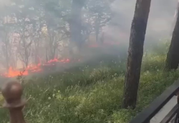 Павлодарда жағалауда өрт болды