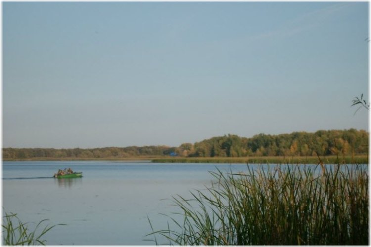 В Павлодарской области может появиться свое водохранилище