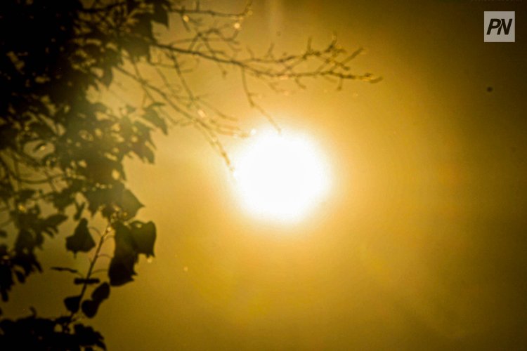 6 маусым күні Павлодар облысында қатты ыстық болады