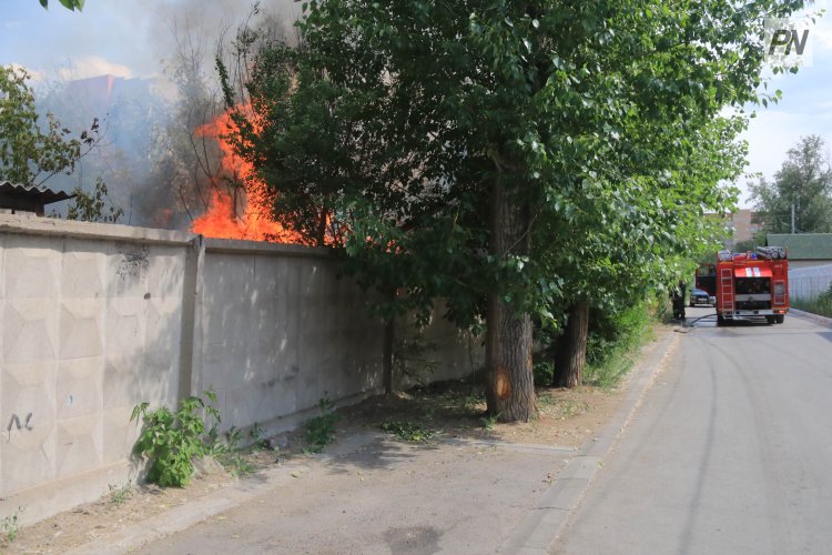 Трава и деревья загорелись в Павлодаре