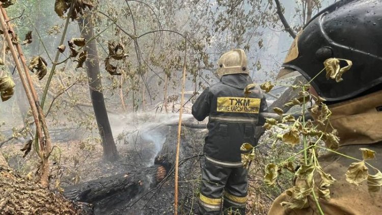 В Минтруда расследуют гибель людей при пожаре в Абайской области