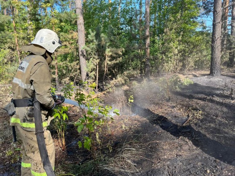 Лесной пожар в области Абай локализовали