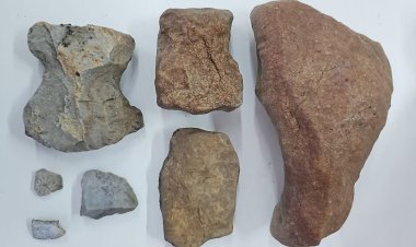 Павлодарда алғашқы адамдардың еңбек құралдары табылды