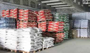 Павлодар облысында ұнның бағасы бірден 41,8%  қымбаттады