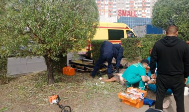 Павлодарда ағаш кесіп жатқан үш адамды ток соқты