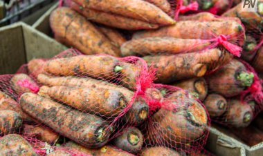 Павлодар облысында сәбіз қымбаттап, күріш арзандады