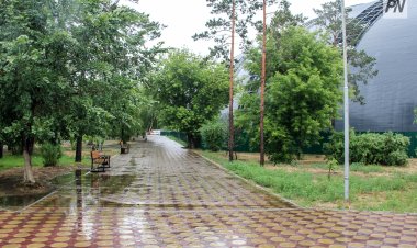 13 шілде күні Павлодар облысында өткінші жаңбыр жауады