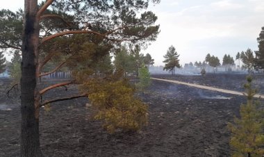 Павлодар облысында "Ертіс орманы"шаруашылығында басталған өрт оқшауланды