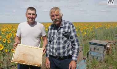 Секреты профессии: пчеловод