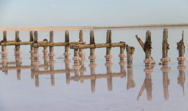 Павлодар облысындағы Коряковка көлінен тұзды заңсыз өндіру фактісі расталды