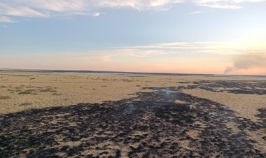 Бүгін Павлодар облысында 30-дан астам өрт тіркелді