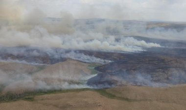 Более ста человек тушат пожар в Баянаульском национальном парке
