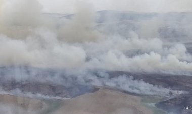 Баянауылдағы дала өртін сөндіруге жүзден астам адам жұмылдырылды