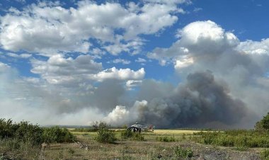 Три региона помогают тушить пожар в Щербактинском районе (ВИДЕО)