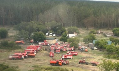Шарбақты ауданындағы орман өртін сөндіру жұмыстары жалғасуда