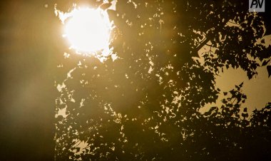 Павлодар облысында 18 шілдеде ыстық болады