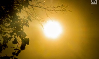 Павлодар облысында аптаның аяғына дейін қатты ыстық болады