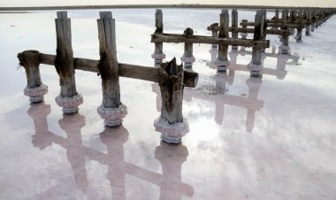 Экология министрлігі Коряковка көліндегі мәселеге назар аударды