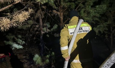 Открытого огня нет: что известно о ситуации в «Ертic орманы»