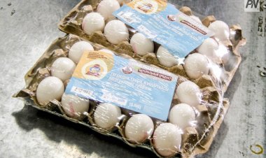 Павлодарда биыл азық-түлік өнімдерінің бағасы қымбаттады