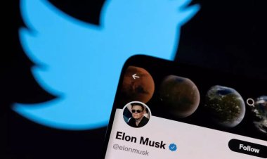 «Мы попрощаемся с птицей»: Илон Маск решил сменить логотип Twitter