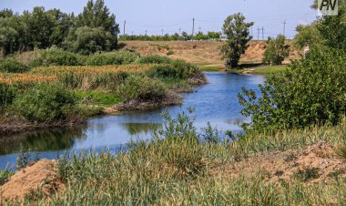 Голубая лагуна: экологи изучат воду в Усолке