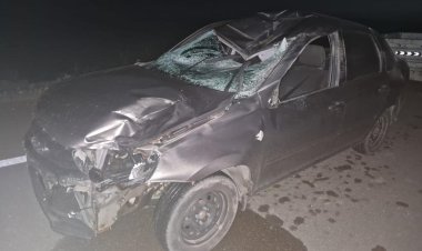 ДТП из-за лошади: павлодарца обяжут возместить ущерб