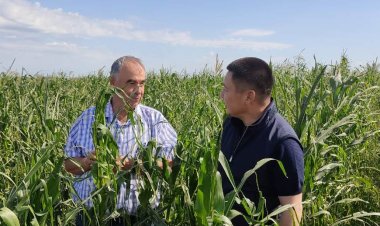 Жаркое лето: как в Иртышском районе справляются с нехваткой влаги