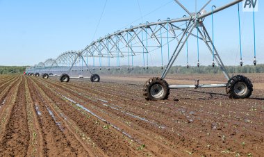 Ертіс ауданында суармалы алқаптар жерлері ұлғаяды