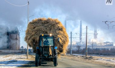 Павлодарлық санэпидемиологтар ауаның ластану деңгейін айтып берді